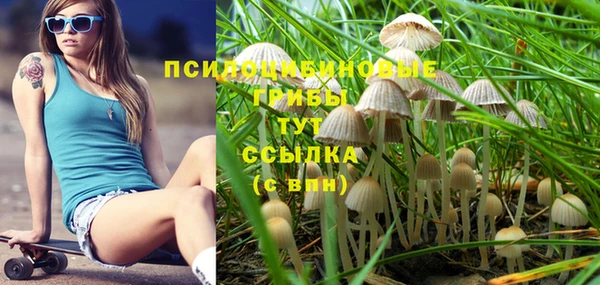 мет Майский