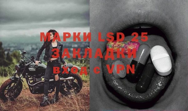 ПСИЛОЦИБИНОВЫЕ ГРИБЫ Магас