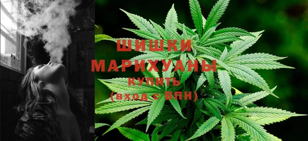 ПСИЛОЦИБИНОВЫЕ ГРИБЫ Магас
