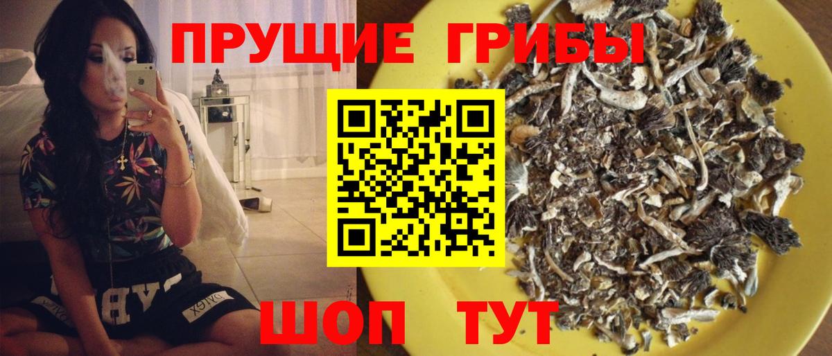 Галлюциногенные грибы GOLDEN TEACHER  Урус-Мартан 