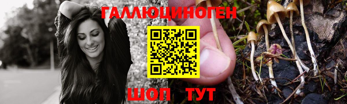 ГАШ Урус-Мартан