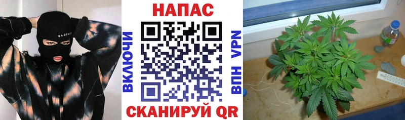 Бошки Шишки конопля  OMG сайт  Урус-Мартан 