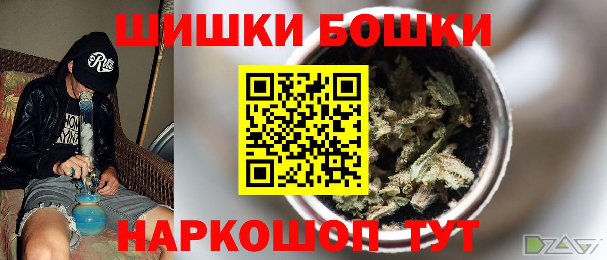 Каннабис планчик  Урус-Мартан  Конопля OG Kush 